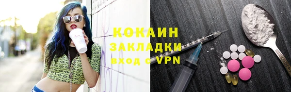 сатива Иннополис