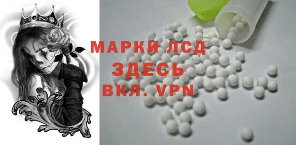 apvp Инсар