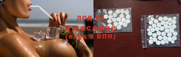 apvp Инсар