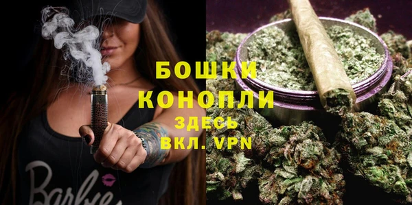 сатива Иннополис
