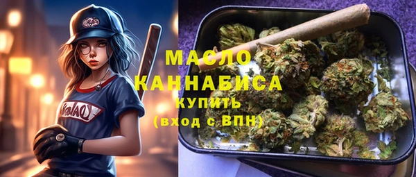 apvp Инсар