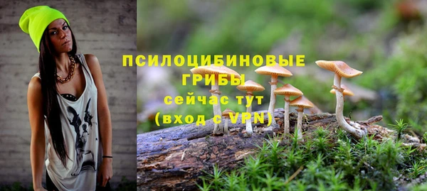 круглые Инта