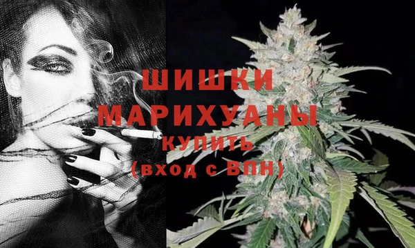 сатива Иннополис