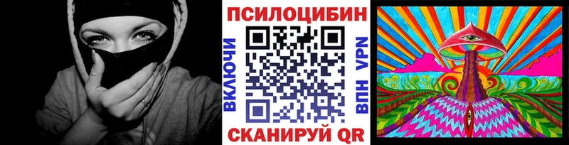 наркота Медвежьегорск Псилоцибиновые грибы MAGIC MUSHROOMS
